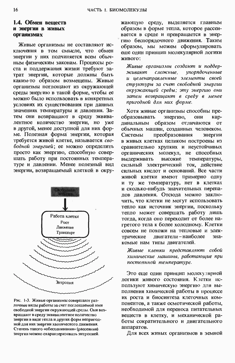1.4. Обмен веществ и энергии в живых организмах