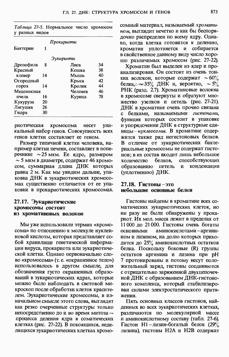 27.17. Эукариотические хромосомы состоят из хроматиновых волокон