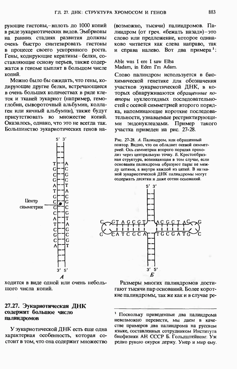 27.27. Эукариотическая ДНК содержит большое число палиндромов