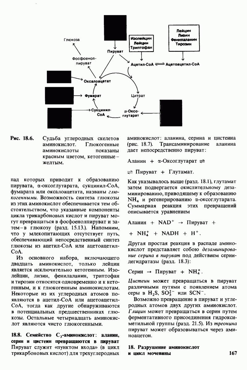 Тестовые задания для подготовки к итоговой государственной аттестации