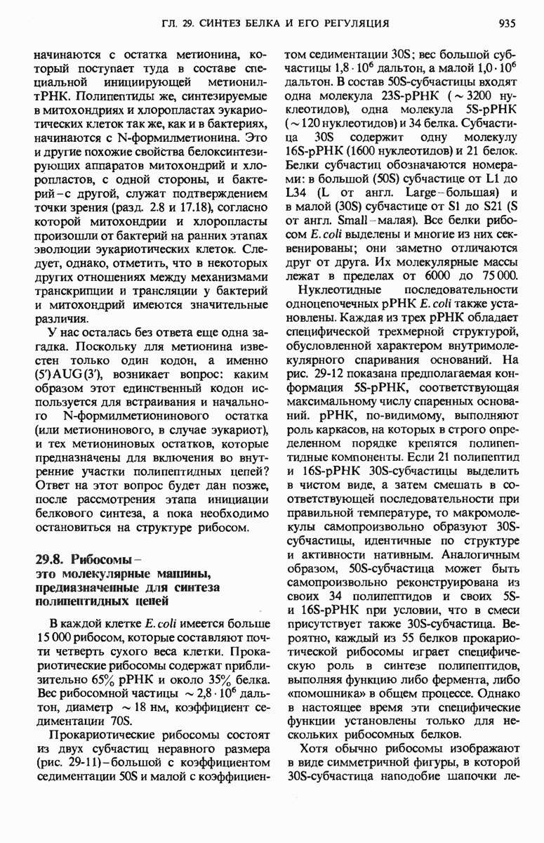 29.8. Рибосомы – это молекулярные машины, предназначенные для синтеза  полипептидных цепей