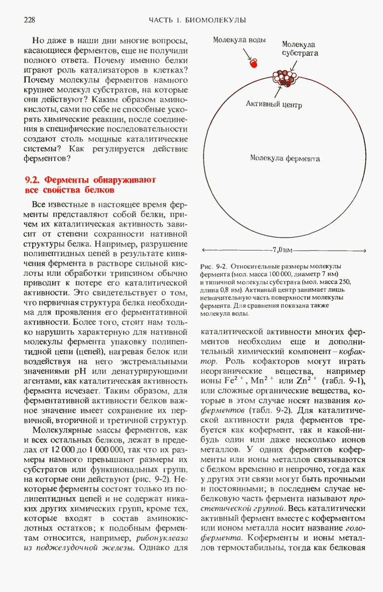 Ферменты – что это такое и где применяются в пищевой промышленности