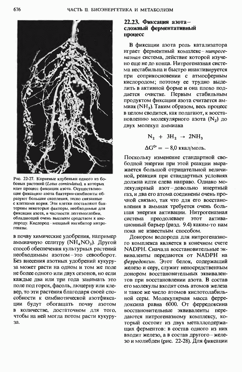 22.23. Фиксация азота – сложный ферментативный процесс