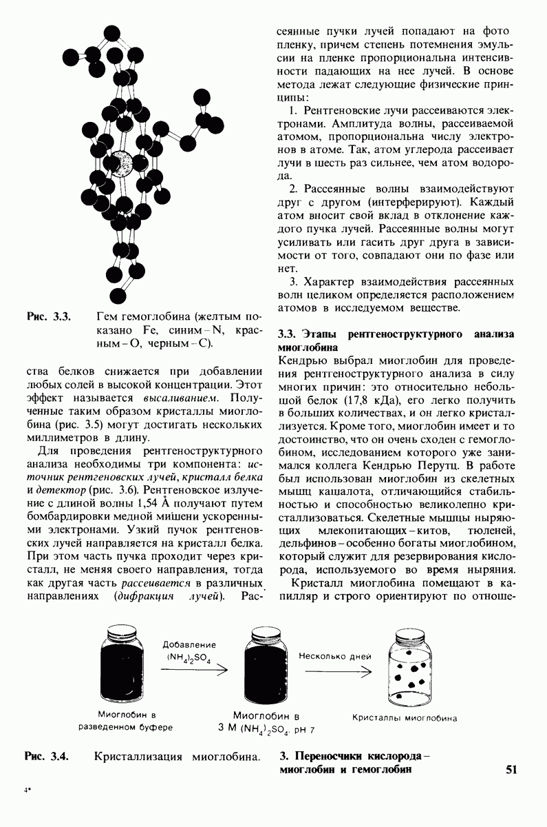 3.3. Этапы рентгеноструктурного анализа миоглобина